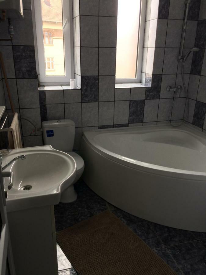 Garsoniera Mandrilor Apartment Slanic Luaran gambar