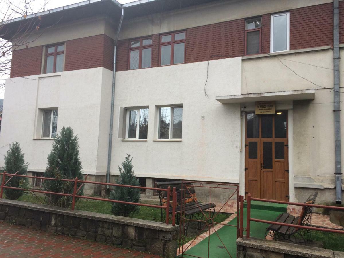 Garsoniera Mandrilor Apartment Slanic Luaran gambar